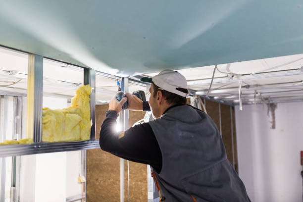 Types of Insulation We Offer in Claxton, GA