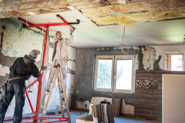 Best Cellulose Insulation in Claxton, GA