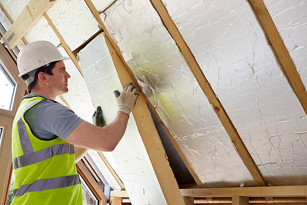 Best Commercial Insulation in Claxton, GA