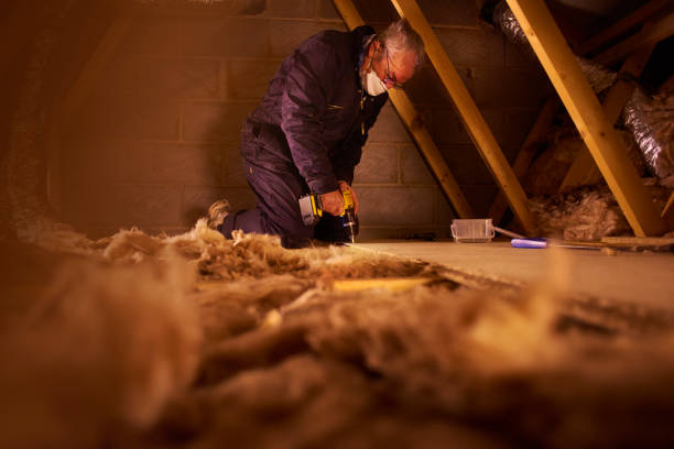 Best Eco-Friendly Insulation in Claxton, GA